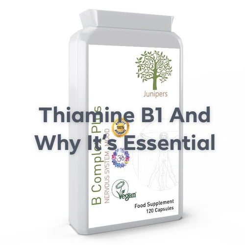 Thiamine B1 Is Essential