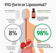 Load image into Gallery viewer, Liposomal Technology Encapsulated Vitamin C - Ultimate Absorption
