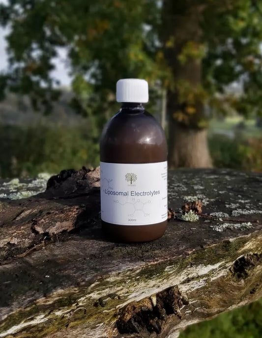 Liposomal Electrolytes 300ml - Junipers