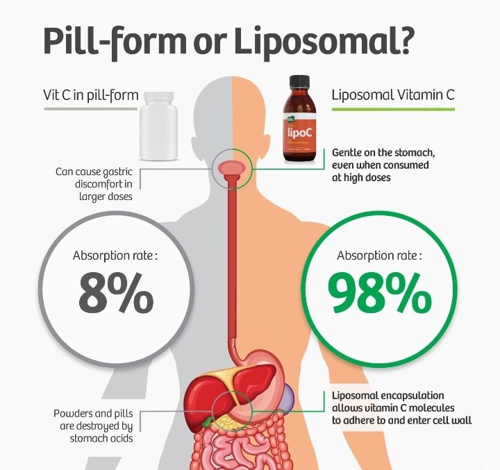Liposomal Technology Encapsulated Vitamin C - Ultimate Absorption - Junipers